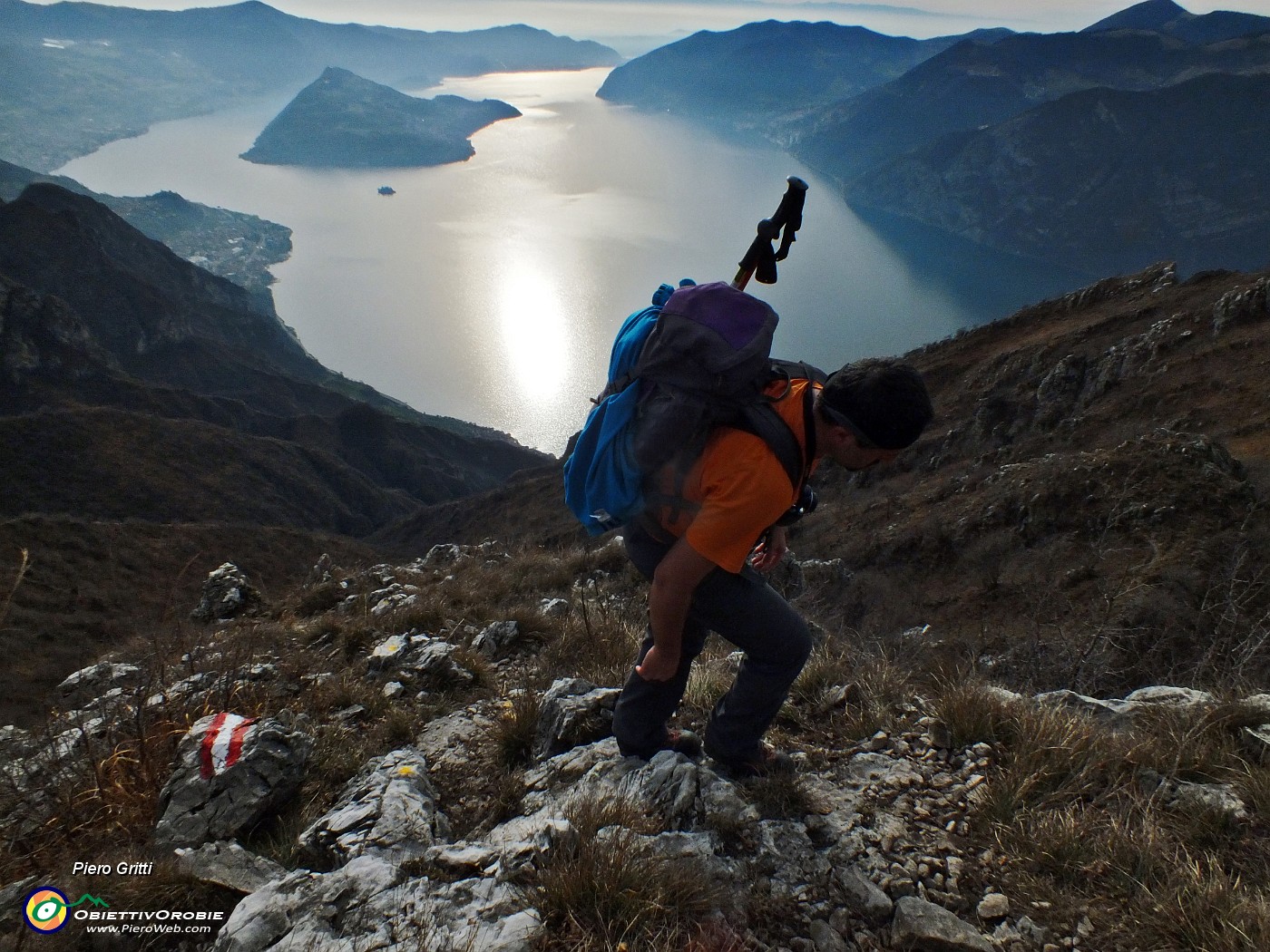 61 si arrampica aiutandosi con le mani.JPG